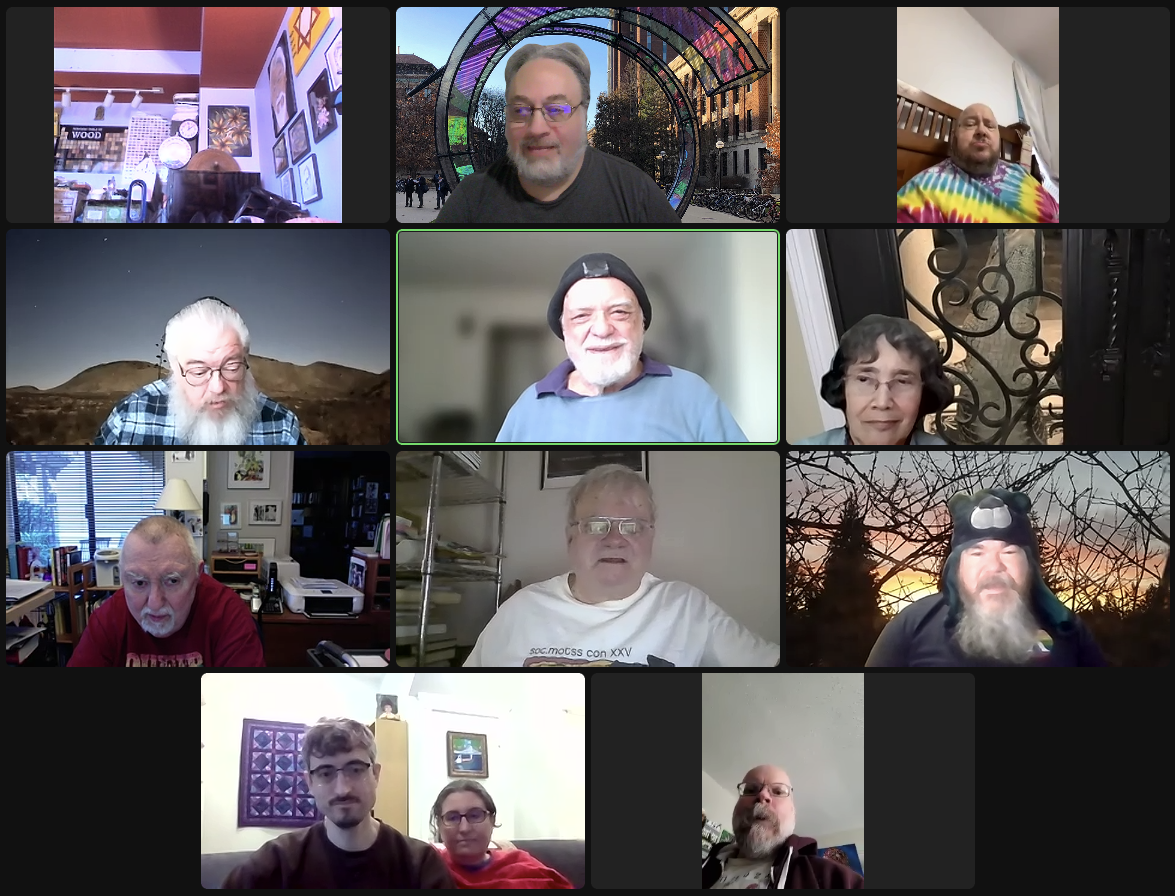 Zoom participants, left to right and top to bottom: Max Vasilatos' room, Josh Simon, Patrick Califia, Joel Levin, Ken Rudolph, Emily Rizzo, Arnold Zwicky, Dennis Lewis, Mike McManus, Arthur Prokosch and Bethany Ramirez, and John Dorrance